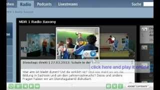 How to download radio from mdr.de with Hidownload screenshot 5