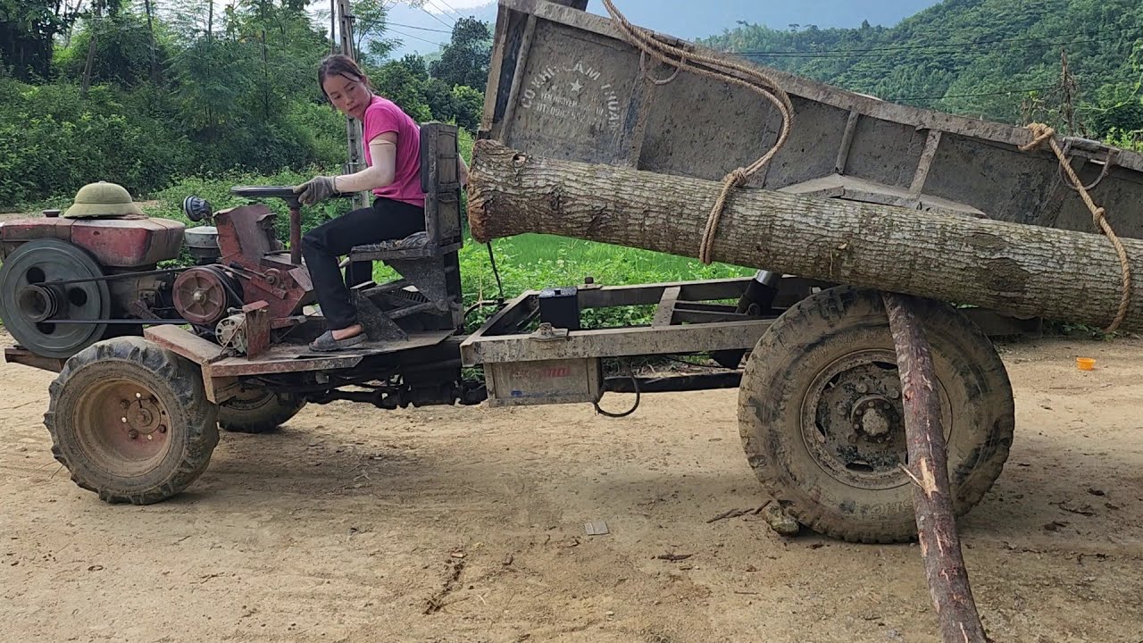 Full Video - 90 Days Journey Using 1973 Agricultural Vehicle to Transport Giant Trees for Free