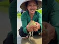 #haihuoc cuộc sống người dân miền quê