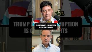 The Trump family's latest corruption scheme and what needs to be done for future accountability Net Worth