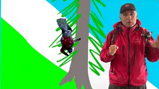 Tree Wells Stuck Head First