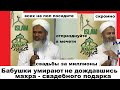 Свадьбы за миллионы. Бабушками умирают без махра. Хасан Али шейх ислам