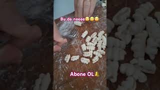 Danilo Chef Bizden Mi Çaldınız Iyarık Irmıklama