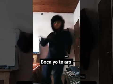 hoy mi perro