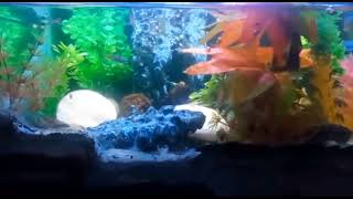 Download Lagu enak di pandang 😁 MP3