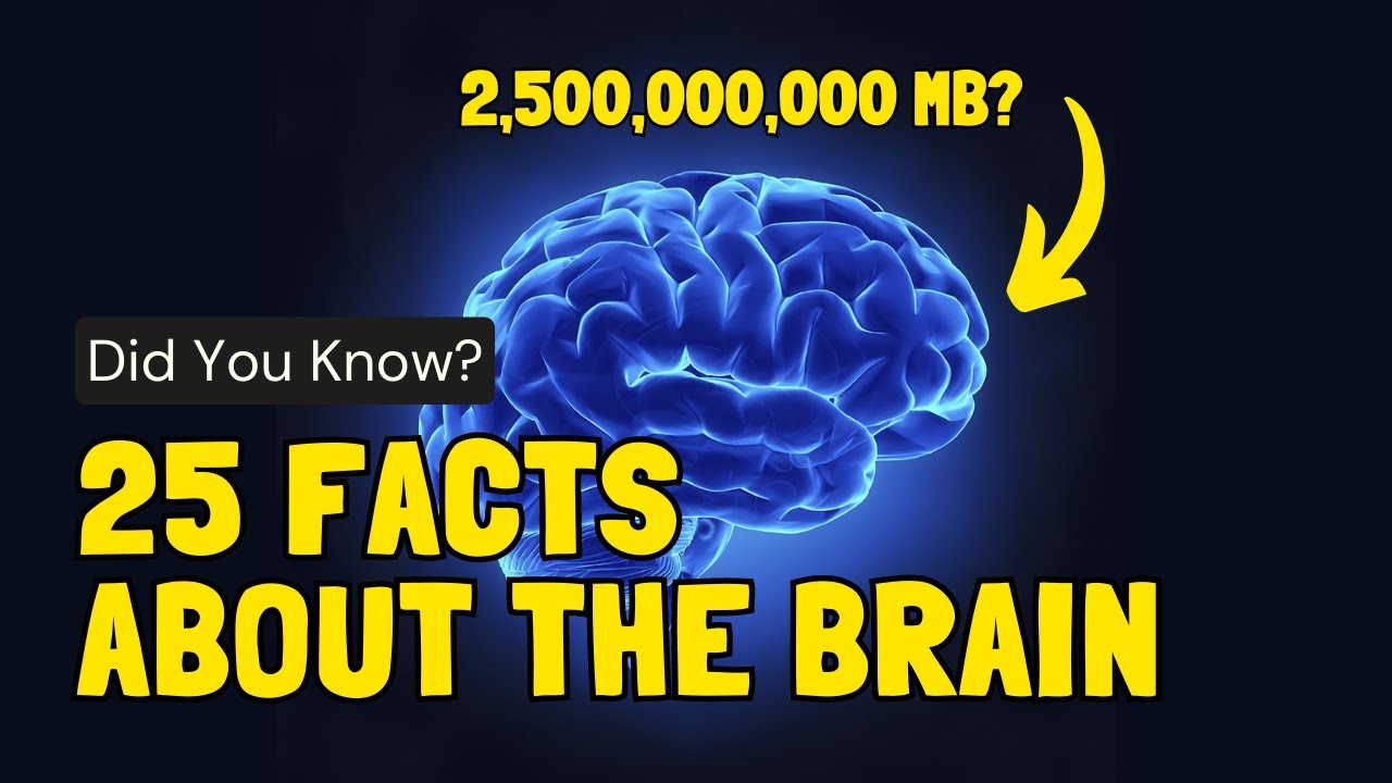 25 Mind Blowing Facts About Your Brain You Never Knew! - YouTube