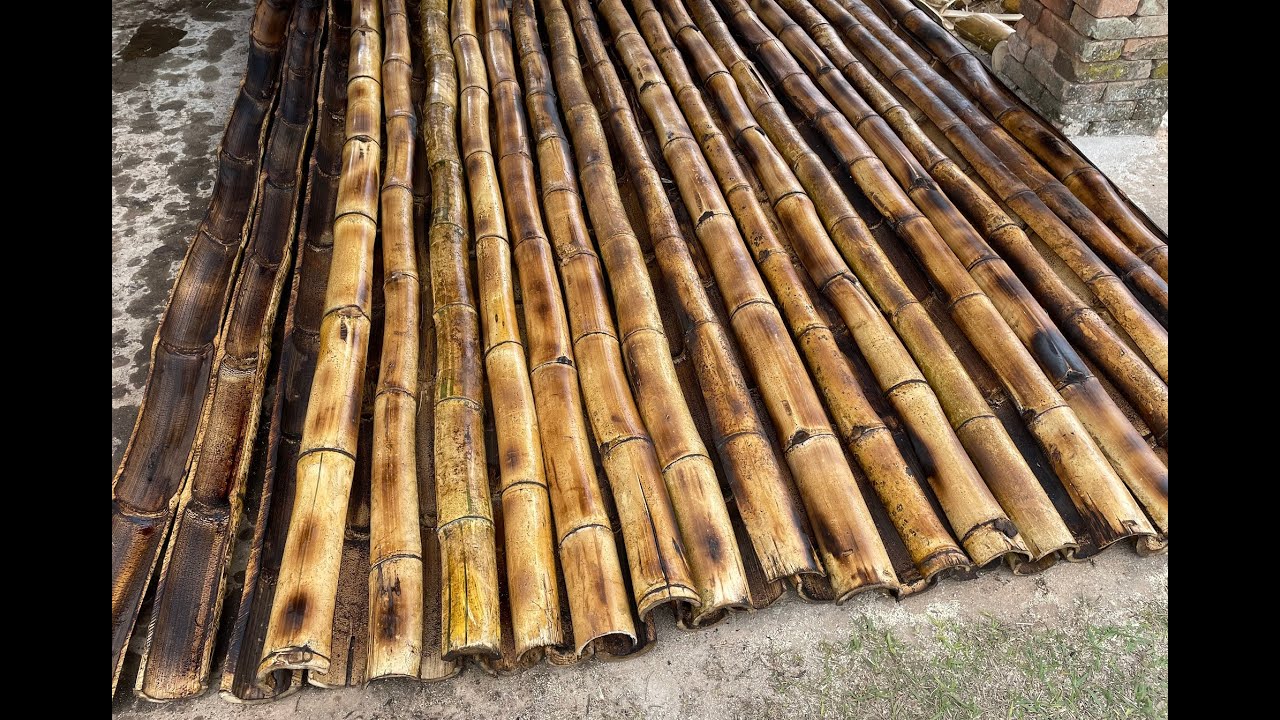 TELHADO DE BAMBU - PARTE 1