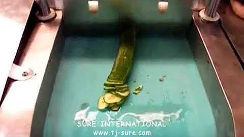 （pickled cucumber slice）Test video of vegetable cutting machine