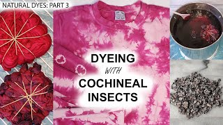 Natural Dyes Part 3 Dyeing with Cochineal Insects