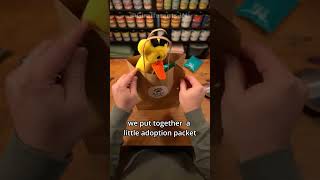 This Old Dog Finally Got Adopted After Over Two Years........