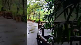 Khaomao-Khaofang Imaginary Jungle