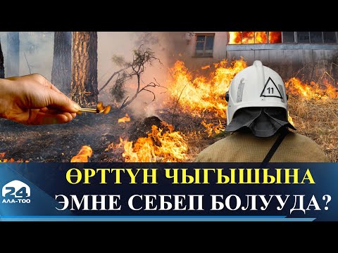 Video: Өрттүн чыгышына адамдардын шалаакылыгы себеп болууда