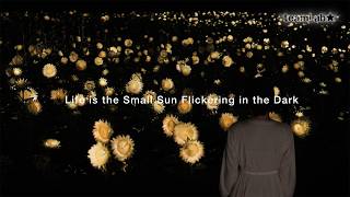 Life is the Small Sun Flickering in the Dark @teamLabmovie