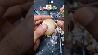 Mishell 😱🥚 #countdown #shell #eggpeeling #satisfying #asmr