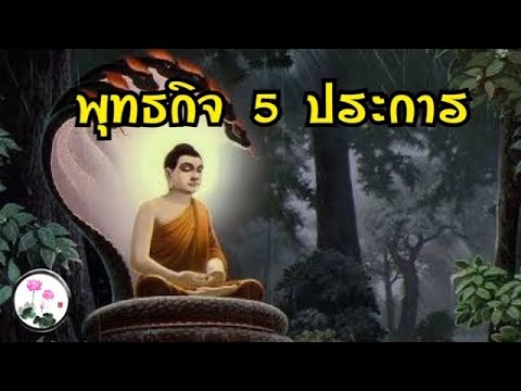 วีดีโอ: สารประกอบสำคัญ 5 ประการคืออะไร?