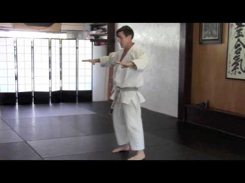 Karate Continuity of Movement 06