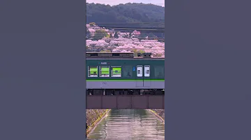 Lake Biwa Canal Shiga Japan Art Cherryblossomseason Kyoto Travel Beautiful Viral 