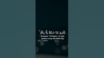 القرآن الكريم # بصوت خالد الجليل 🍁