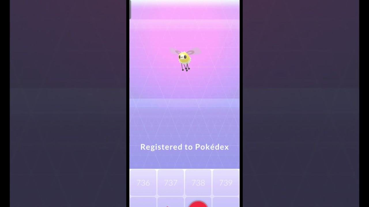 New Debut Cutiefly evolved into Ribombee in Pokemon Go 