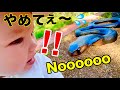 爬虫類Zooに行ったらソッコー帰りたいと言われた😂