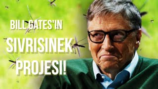 Bill Gatesin Dünya Sivrisinek Projesi Bill Gates Neyi Hedefliyor? Yeni Pandemi?