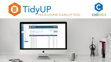 TidyUP: File and Page Cleanup Tools for Canvas Overview