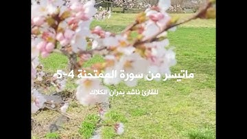 أدعية من القرآن الكريم - للقارئ ناشد بدران الكلاك - سورة الممتحنة 4-5