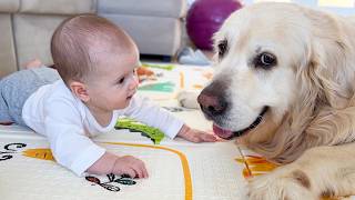 This Baby Just Found Her Best Friend