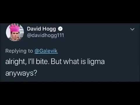 David Hogg Ligma Balls Twitter Thread, Ligma