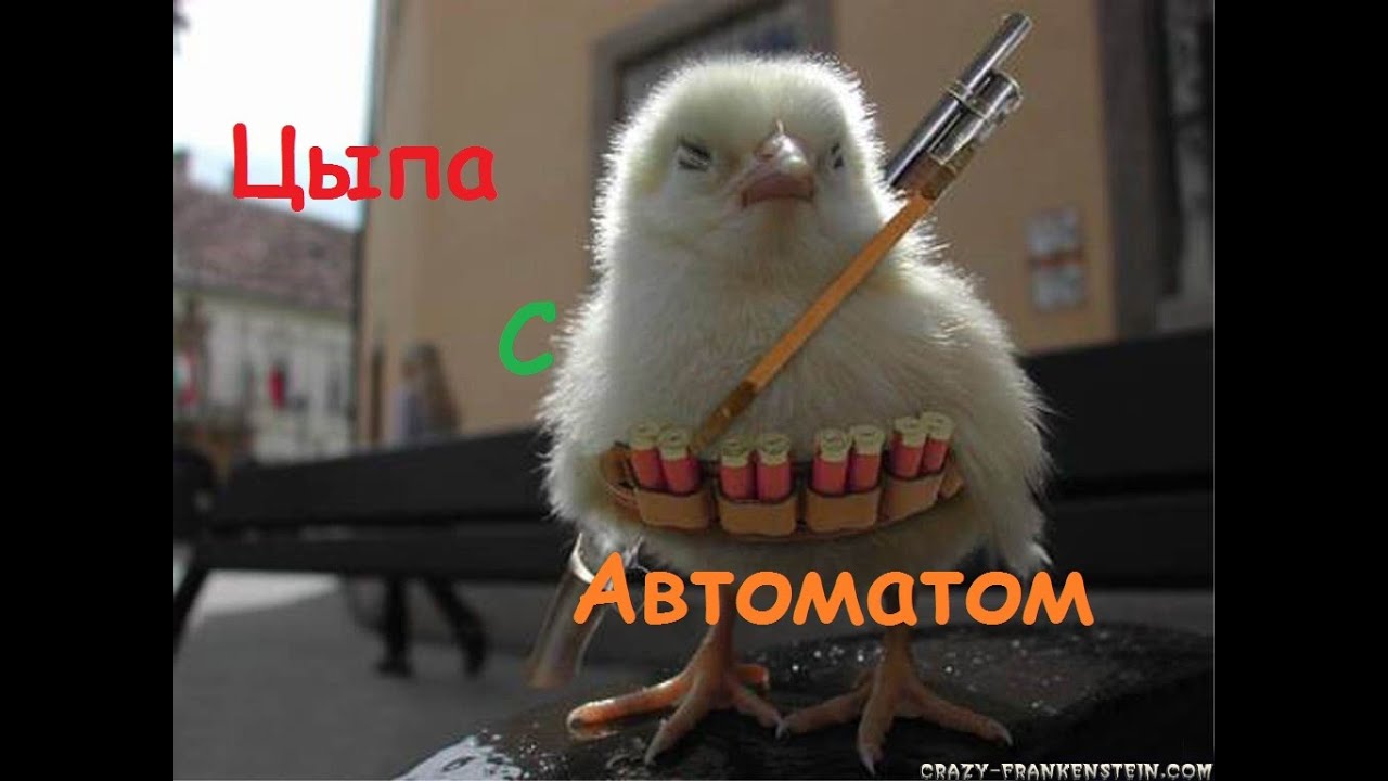 Цыпленок с ножом мем