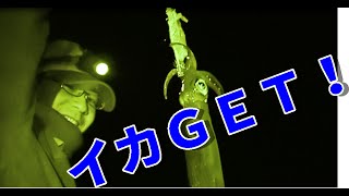 小川島で剣先イカが爆釣だぜぇ～ワイルドだろ～【釣りよか】2/2