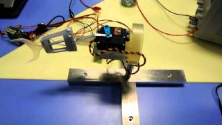 CPG Control of an Artificial Fish Guide