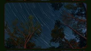 Night Sky Timelapse 🌌 | Indian Springs State Park (Long Exposure Stars ⭐)
