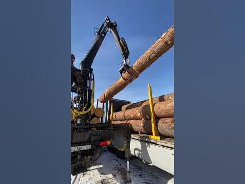 Разгрузка леса для строительства ДОМА И БАНИ. - YouTube