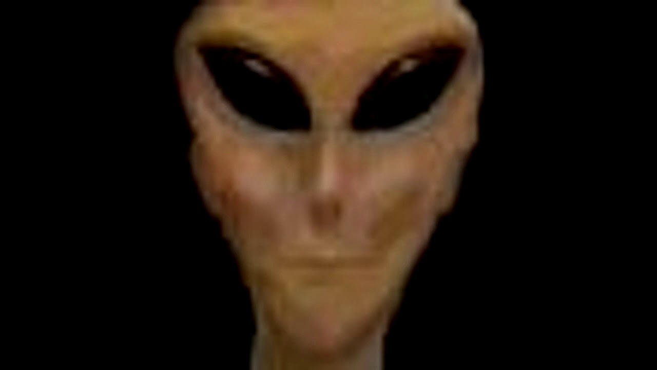 FREAKWORK - voidemotion