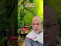قال ربي اجعل لي اية روائع السيد سعيد