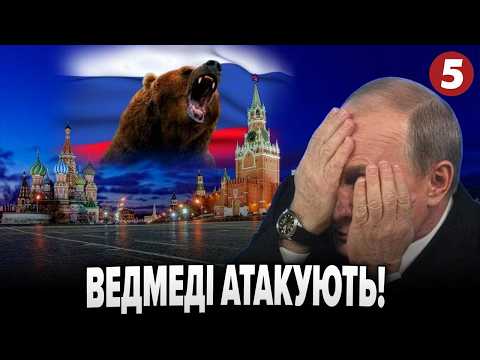 🐻В рф ЗАХОПЛЮЮТЬ СЕЛА🚨 Китайці винесли Тайгу🌲Що коїться в регіонах через вирубку | БУМЕРАНГ БАНДЕРИ