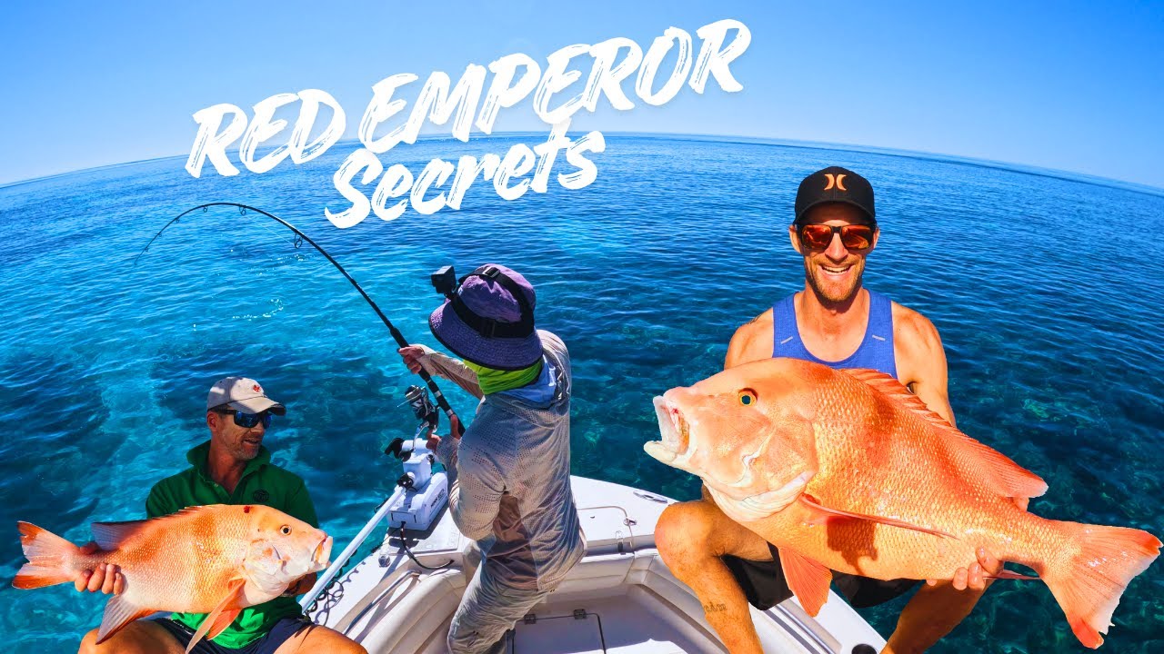 3 дня на ББР (джиггинг, кастинг, троллинг и подводная охота)