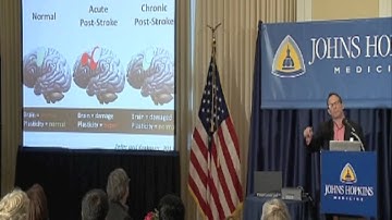 Brainiacs: Motor Recovery After Stroke in Mice and Men