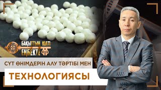 Сүт өнімдерін алу тәртібі мен технологиясы. «Бақыттың кілті еңбекте!»