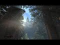 Skyrim PS5 - Forests Looking Amazing!
