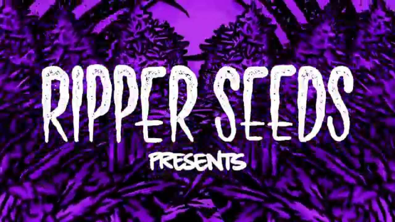 RIPPER SEEDS Grow Tour 2014 - TEASER -