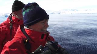 Tagging Killer Whales in Antarctica