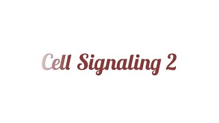 Cell Signaling 2