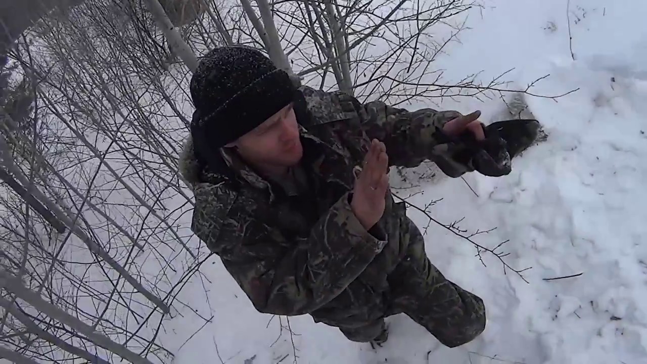 Снежный Песец 2017