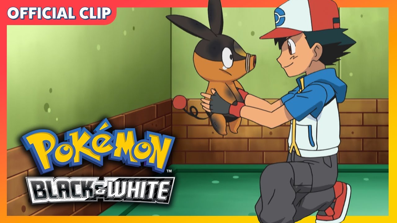 A Pokémon Distribution System? | Pokémon: Black & White | Official Clip