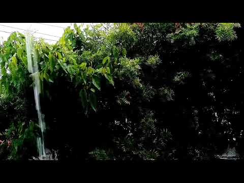10 Hours of Heavy Rain Sounds | Rain Sounds For Sleeping | Relaxing Rain Sounds