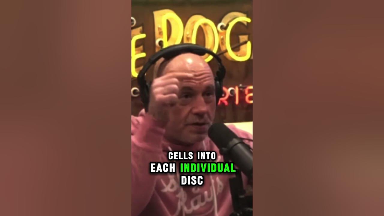 Joe Rogan Talks About CPI Stem Cells with Rick Strassman on JRE 2441