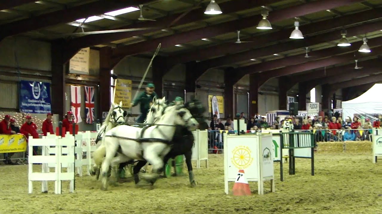 Daniel Naprous - Brockham Carriage Fair 2011