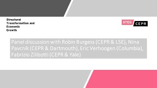 Panel discussion on STEG theme 4: Trade and spatial friction